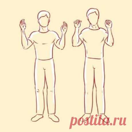 Дыхательная гимнастика Стрельниковой: уникальная методика, которая стала для многих спасением!

Александра Николаевна Стрельникова — преподаватель пения, а также автор уникального комплекса дыхательных упражнений, которые спасли жизнь тысячам людей. У Стрельниковой еще с молодых лет были проблемы с сердцем, также она очень часто испытывала приступы удушья, что в конце концов привело ее к потере голоса.

Спасаясь от недуга, Александра вместе с мамой разработала методику, ко...