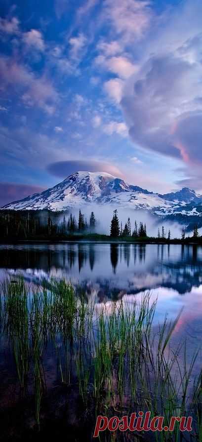 Pin by Steve Davis on Beautifull