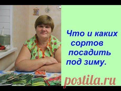Что и каких сортов посадить под зиму.