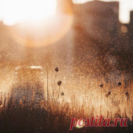 Простые повседневные чудеса