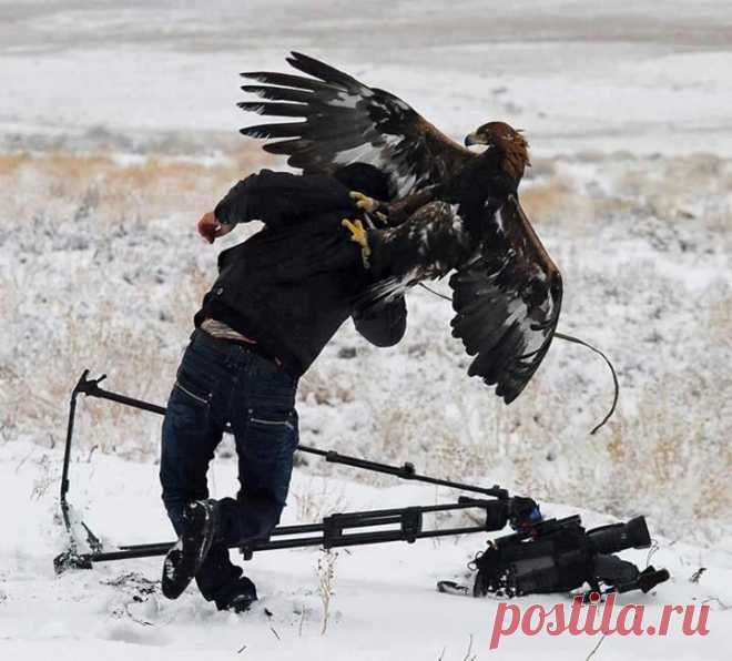 ПОПАЛСЯ,ГУСЁК !
