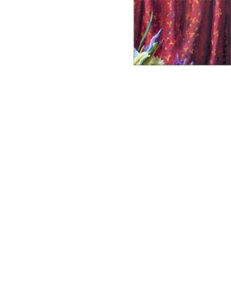 i-40714.gif (433×543)