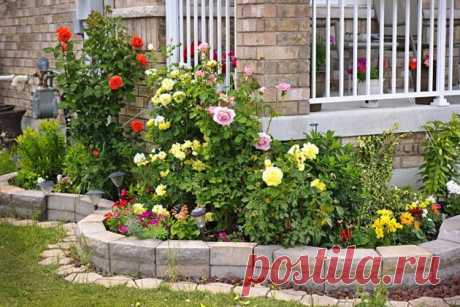 Маленькие клумбы на дачном участке. Особенностях оформления | С нами на даче Пульс Mail.ru