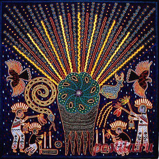 кактусы пейот: 2 тыс изображений найдено в Яндекс.Картинках