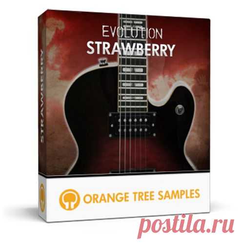 Orange Tree Samples Evolution Strawberry Electric Guitar v2.0 KONTAKT  | 1.61 GB

Evolution Strawberry enables keyboardists to easily and quickly create authentic sounding electric guitar parts without the need to hand edit MIDI. Unlike conventional high-end KONTAKT guitar sample libraries and guitar VSTs, Evolution doesn't require keyboardists to possess a foundational understanding of how to play the guitar in order to achieve authentic results.