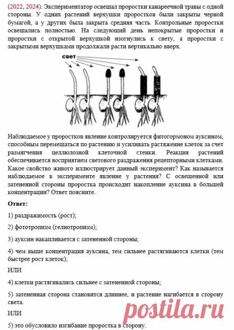 QMfbUWDpg23HO6fVZAaeqreJTkSSLUJRpzjZIjGyphsK2ONlIwOsBFn3c8WPbBTEFlSOqS4gh--yponfXIoXTIHR.jpg (543×765)