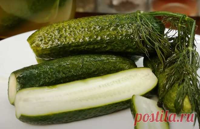 Малосольные огурцы с медом. Вкусный и полезный рецепт Человечество нередко придумывает разные виды блюд, которые на первый взгляд совершенно не сочетаются друг с другом. Однако, по итогу может выйти нечто настолько вкусное, что готовится во всем мире. Например, в последние несколько лет продолжается тренд на огурцы с медом. Это может быть частью сбалансированного рациона и принести пользу организму. Огурцы содержат много воды и […]