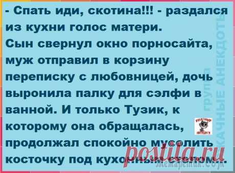 Анекдоты в картинках или картинки в анекдотах-7