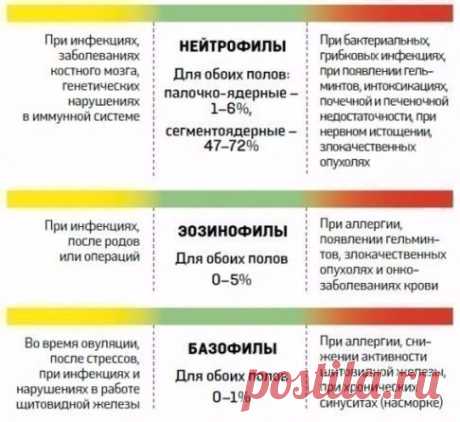 Расшифровка анализа крови! Берем на заметку!