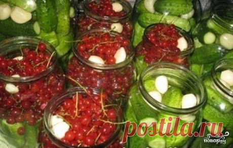 (1) Одноклассники