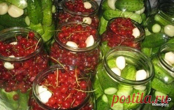 (1) Одноклассники