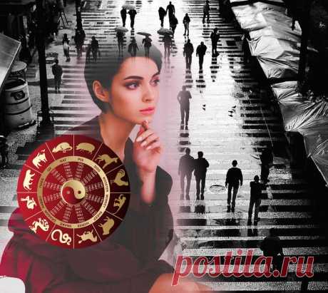 Женщины-альфа по году рождения и их зодиакальное амплуа Женщины-альфа по году рождения и их зодиакальное амплуа.Есть милые, веселые, скрытные, мнительные леди - всех не перечесть. А есть Альфы.