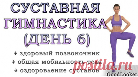 Суставная гимнастика + здоровая спина Суставная гимнастика – это отличный способ укрепить суставы и костную ткань, улучшить подвижность и мобильность, убрать боль в спине, уменьшить зажатость и скованность в теле. Предлагаем вам комплекс ...