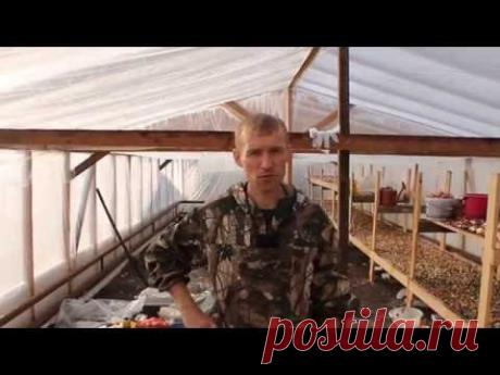 Отопление в теплице. Часть 2. Утепление.