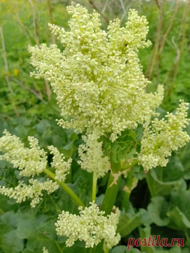 Не пропустите, не пройдите мимо🥰. 
Я Вас ждала, за вход не надо ни сантима💐
