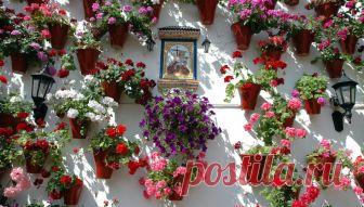 patios cordobeses interiores bonitos - Buscar con Google