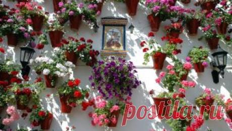 patios cordobeses interiores bonitos - Buscar con Google