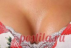 ❀ Омлеты. Круглый край. Выращиваем кедр. Гид по кухне. Ячмень на глазу. Красивая грудь // Кусочек Постилы к чаю! - elvira.baranovskaia@mail.ru - Почта Mail.Ru