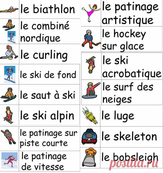Les sports - French Vocabulary Word Wall of Sports (winter and summer)