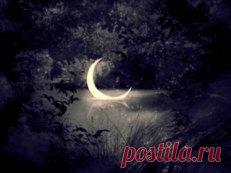 Новолуние 6 января 2019 года: что можно и что нельзя делать в этот день 6 января будет первое в 2019 году Новолуние. Провести его благоприятно вы сможете с советами астрологов, ведь Новая Луна, тем более самая первая в наступившем году, дарит нам впечатляющие возможности и счастливые моменты.