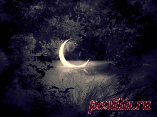 Новолуние 6 января 2019 года: что можно и что нельзя делать в этот день 6 января будет первое в 2019 году Новолуние. Провести его благоприятно вы сможете с советами астрологов, ведь Новая Луна, тем более самая первая в наступившем году, дарит нам впечатляющие возможности и счастливые моменты.