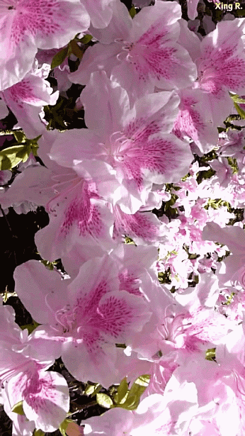 Таня Лукашева - Google+