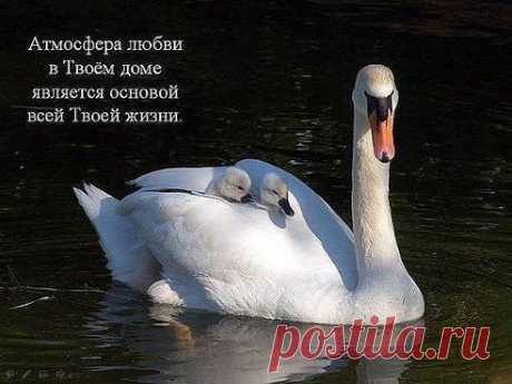 (19) Одноклассники