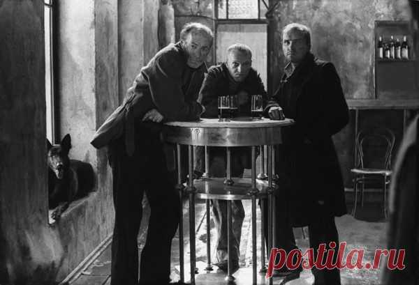 Редкие фотографии наших знаменитостей. Очень интересно! / Всё самое лучшее из интернета