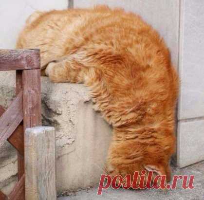 То чувство, когда устал от всего: