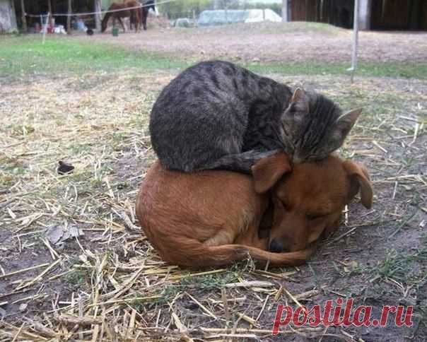 Мой Мир@Mail.Ru