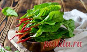 Слава к этой овощной культуре пришла поздно, несмотря на то что она была известна еще в Древней Греции и Риме.