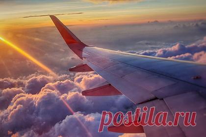 Диетолог назвала помогающие справиться с долгими авиаперелетами продукты. Британский диетолог Серена Пун (Serena Poon) назвала полезные продукты, которые помогают справляться с большой разницей часовых поясов, а также те, которые следует избегать на долгих авиаперелетах. Так, для быстрой нормализации биологических часов после долгих перелетов лучше употреблять продукты, богатые мелатонином.