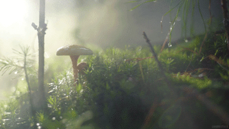 Рекомендуем | Tumblr