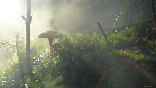 Рекомендуем | Tumblr