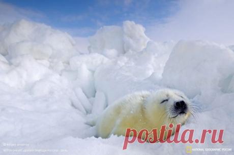 Чтобы преуспеть, нужно принять мир таким, какой он есть, и возвыситься над ним.