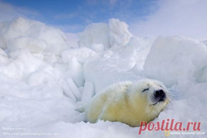Чтобы преуспеть, нужно принять мир таким, какой он есть, и возвыситься над ним.