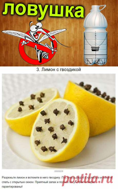 Борьба с комарами и их укусами — Делимся советами