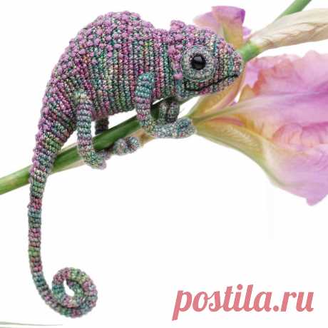 PDF Хамелеон крючком. FREE crochet pattern; Аmigurumi doll patterns. Амигуруми схемы и описания на русском. Вязаные игрушки и поделки своими руками  #amimore - хамелеон, ящерица, chameleon, lizard, chamäleon, caméléon, camaleón, camaleonte, kameleon, camaleão, bukalemun, kameleontti, lagarto, eidechse, jaszczurka, lézard, ještěrka. Amigurumi doll pattern free; amigurumi patterns; amigurumi crochet; amigurumi crochet patterns; amigurumi patterns free; amigurumi today.