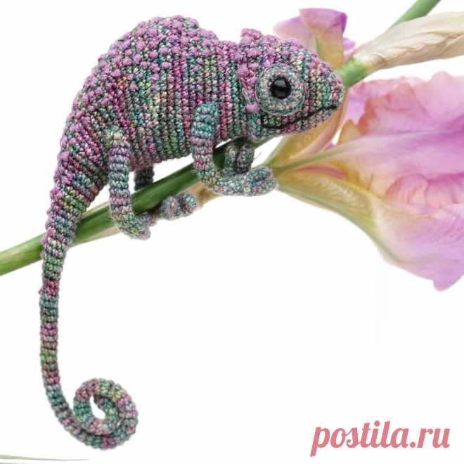 PDF Хамелеон крючком. FREE crochet pattern; Аmigurumi doll patterns. Амигуруми схемы и описания на русском. Вязаные игрушки и поделки своими руками  #amimore - хамелеон, ящерица, chameleon, lizard, chamäleon, caméléon, camaleón, camaleonte, kameleon, camaleão, bukalemun, kameleontti, lagarto, eidechse, jaszczurka, lézard, ještěrka. Amigurumi doll pattern free; amigurumi patterns; amigurumi crochet; amigurumi crochet patterns; amigurumi patterns free; amigurumi today.