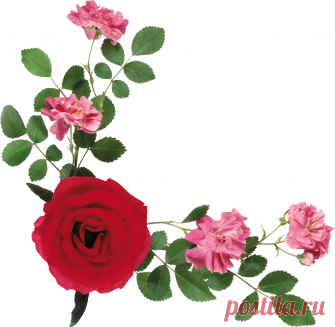 Плейкаст «С ДНЁМ РОЖДЕНИЯ!!!»