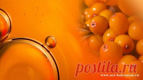 Это растение с "корнями" в Алтайских горах прекрасно укрепляет иммунитет, так что помогает защититься от гриппа и простуды. 
Грипп (простуда) возникает в результате ослабления иммунной системы. Так что если усилить "оборону" организма через укрепление иммунитета, риск заболеть гриппом уменьшается.