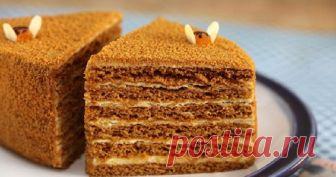 Лучшее тесто для «Медовика»: рецепт для ленивых Удобнее всего замесить медовик с вечера, а утром испечь и намазать коржи.