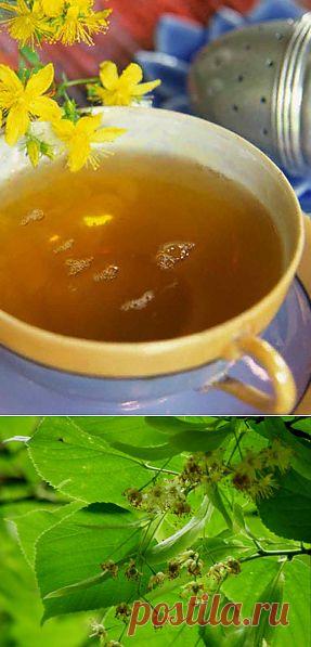 Домашние заготовки: липа на зиму