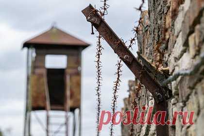 ФСБ рассекретила архивы об условиях содержания советских пленных в концлагере. ФСБ рассекретила архивы об условиях содержания советских пленных в крупнейшем лагере «Шталаг-1А» в Восточной Пруссии в годы Второй мировой войны. Среди документов из архива УФСБ по Калининградской области — копия спецсообщения, составленного отделом военной контрразведки «Смерш» под грифом «совершенно секретно».