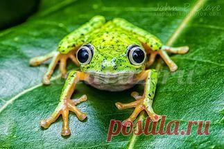 Весёлые конкурсы театрального мастерства для школьников 5-7 класса