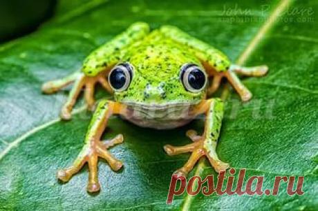 Весёлые конкурсы театрального мастерства для школьников 5-7 класса