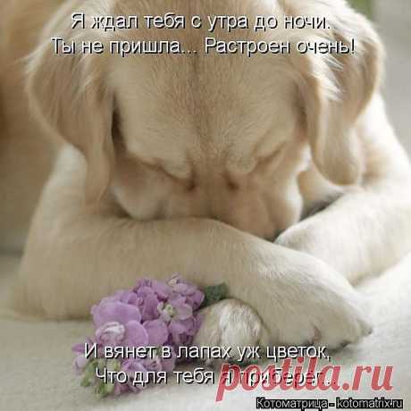 п