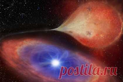 У белого карлика зафиксировали редкую аномалию. Астрономы впервые заметили «включение» и «выключение» белого карлика — редкого явления, при котором происходит резкое увеличение и затем потеря яркости звезды. Феномен зафиксировали с помощью орбитального аппарата НАСА TESS при наблюдении за двойной системой TW Pictoris, удаленной на расстояние 1,4 тысячи световых лет.