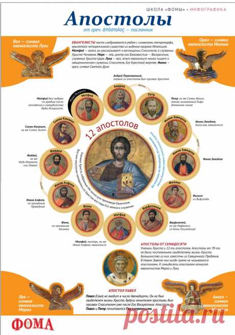 Апостолы (инфографика)