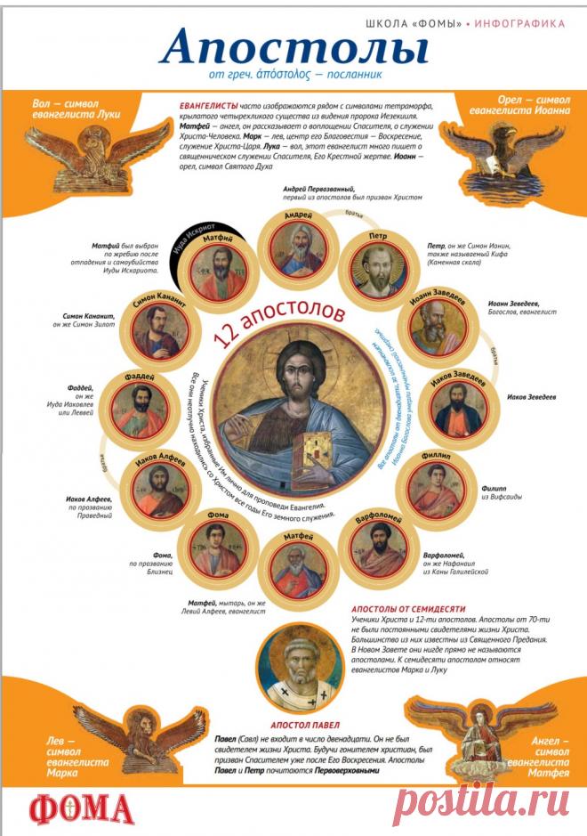 Апостолы (инфографика)
